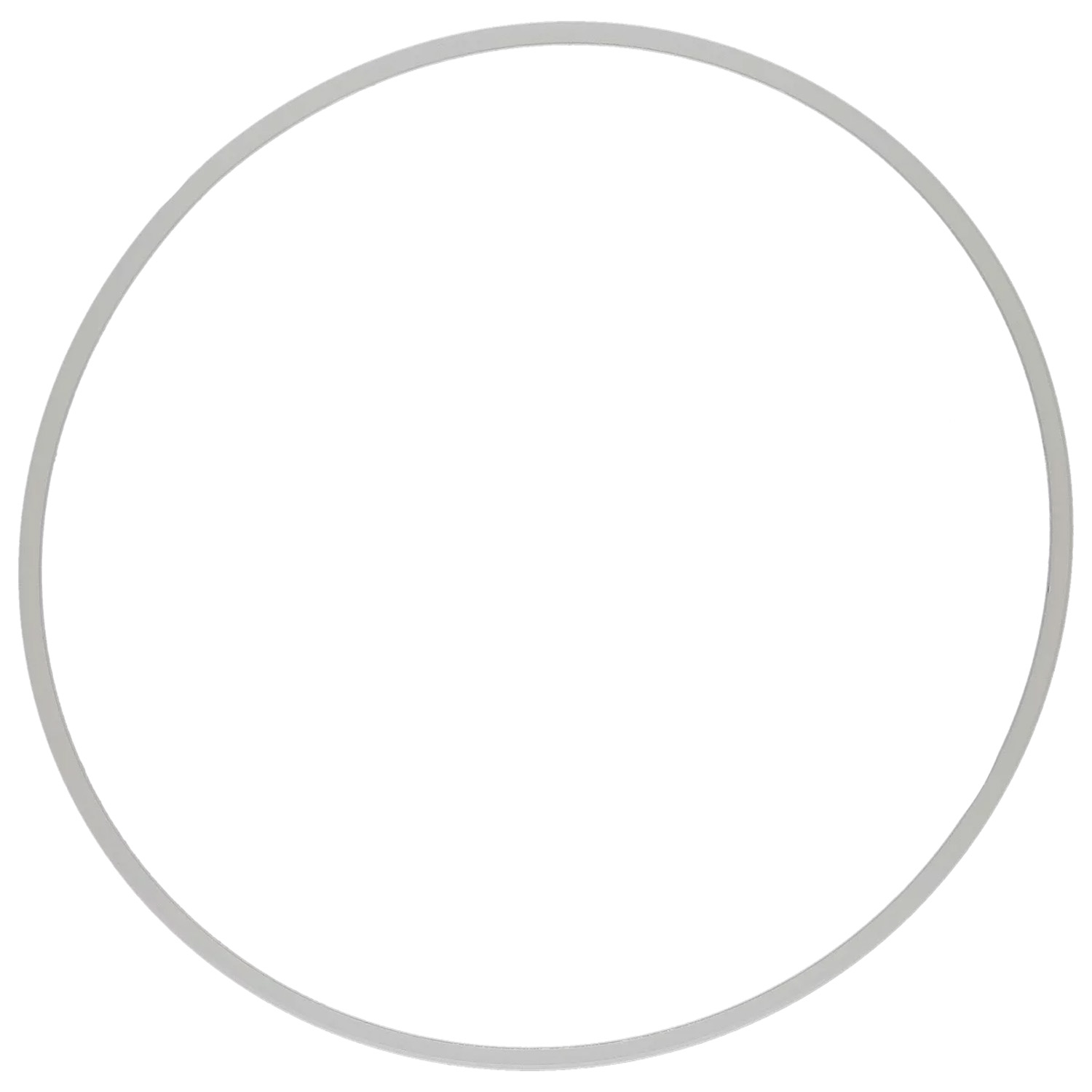 RX 29-295 Glasdichtung (H=2,72 mm)
