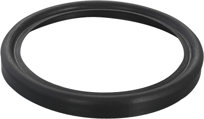 Dichtungsring für Glas