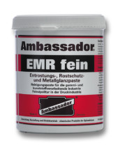 Ambassador EMR fein
