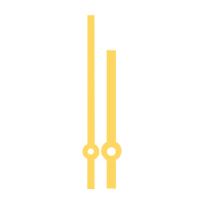 Paire d'aiguilles Eurocode sapine jaune Long.:92mm