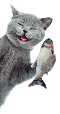 Jouet pour chats Magic Fish