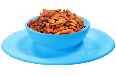 Pet Bowl - La gamelle en silicone parfaite pour votre animal domestique