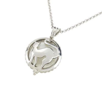 Necklace with a cat pendant AND a magnifying glass